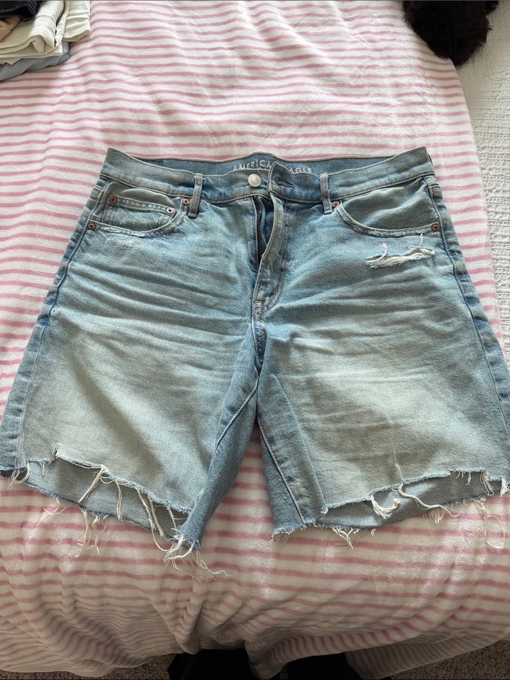 American Eagle Light Blue Denim Shorts with Embroidered Waistband